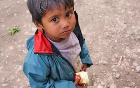 Despite an abundance of apples, children in Jumla District, Karnali Zone are among the most chronically malnourished in Nepal. The government has implemented a child grant programme in which mothers receive 200 Rupees for children under five to go toward 