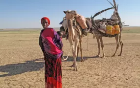 A family of pastoralists migrating to a less drought-stricken area of Ethiopia’s eastern Somali region