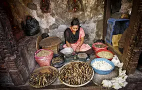 A woman tends to her goods while at a morning market in Kathmandu. Agriculture accounts for about 75 percent of the nation's workforce