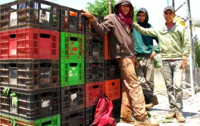 Under-age workers returning home from their work at the settlement of Tomer, in the Jordan Valley