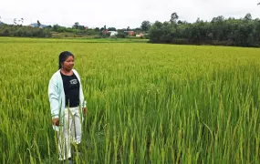 Rosalie Rabodozafy stands in her family’s rice field in Sambaina Commune, west of Madagascar’s capital, Antananarivo. Through the Millennium Villages Project, Rabodozafy’s family has learned to plant rice according to the System of Rice Intensificat