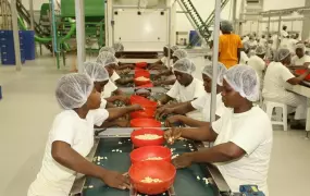 Less than one percent of Côte d’Ivoire’s cashew nuts are processed locally