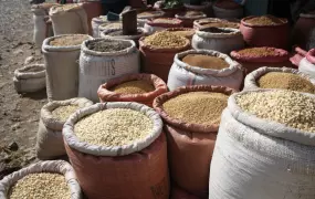 Grain market