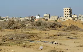 In the foreground of al-Mehdiya village, in Egypt's North Sinai governorate, sits a former olive tree orchard, destroyed in the fall of 2013 during security forces' campaign against militants in the area. (Photo taken by Sophie Anmuth in October 2013 - BU