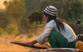 A young girl cleaning rice in Nepal's Solukhumbu District. Poverty is particularly pervasive in Nepal's rural areas