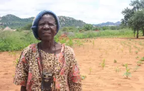 Ratidzo Chirumwana, 88 year-old resident of Zvishavane  district in Zimbabwe’s Midlands province, where poor rains have led to a poor maize crop