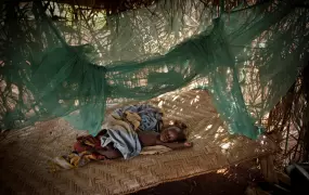 A baby sleeps protected by mosquito net