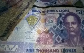 Sierra Leonean dollars