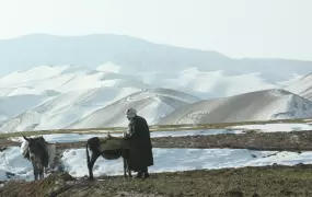 Snow-covered mountains with shepherd