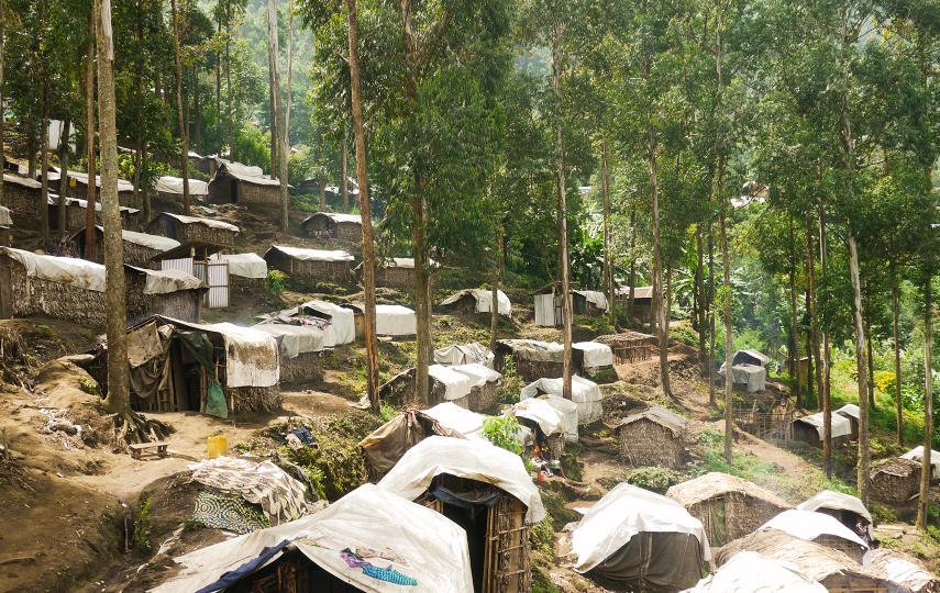 Tents along a hillside under trees