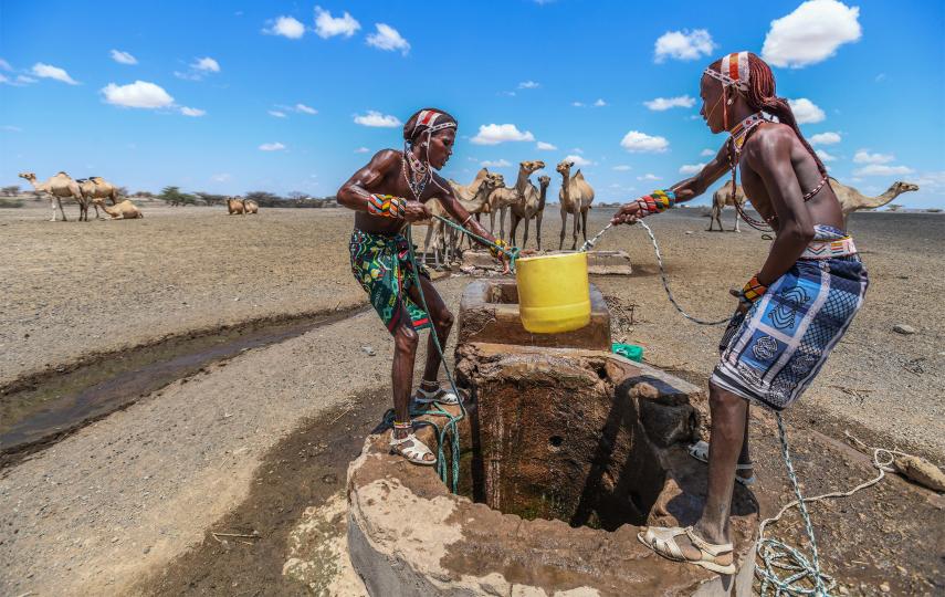 Two Rendille people extract water from a well with a yellow bucket pulling it up with ropes. In the background we see camels. The sky is bright and blue, with only a few clouds. 