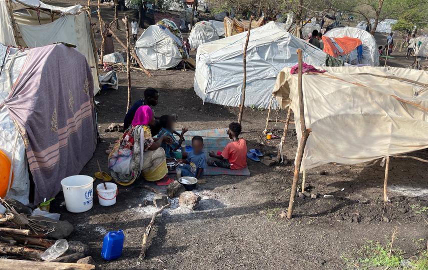 A woman, a man and three children sit by makeshift shelters near Awlala Camp, Amhara region, Ethiopia May 31, 2024.