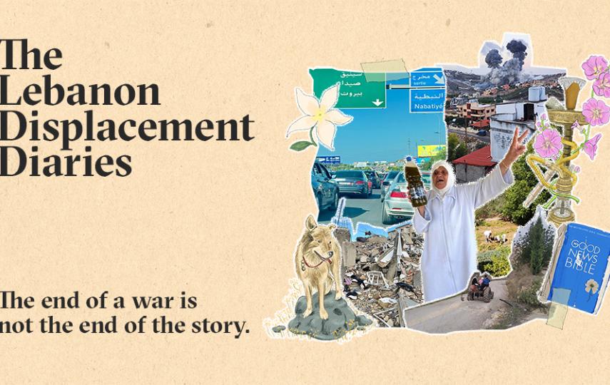 Social media card image for The Lebanon Displacemente Diaries