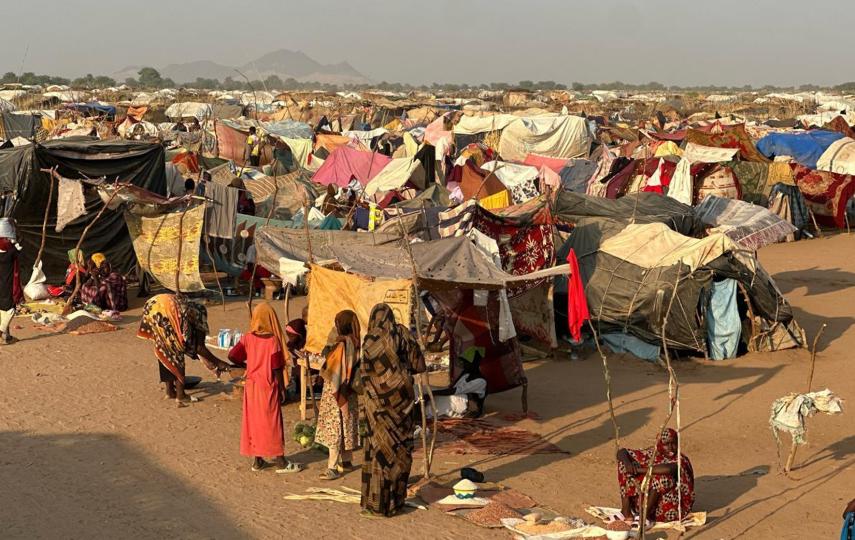 A camp for displaced people outside the town of Tawila, which has become a hub for people fleeing RSF attacks in the western Darfur region.