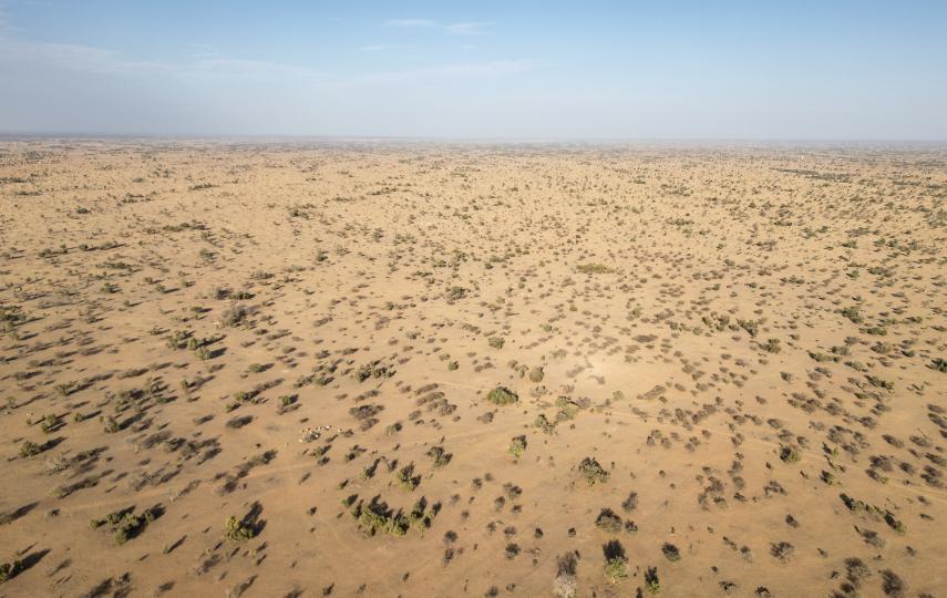 Aerial view of acacia trees in an arid landscape outside Widou Thiengoly in Senegal's Ferlo Desert, which is seen as the birthplace of the Great Green Wall initiative.