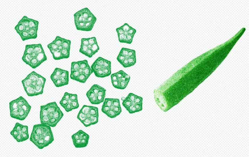 An image showing an ocra to the right and slices of ocra to the left. The image has a green gradient filter along with some noise and texture.