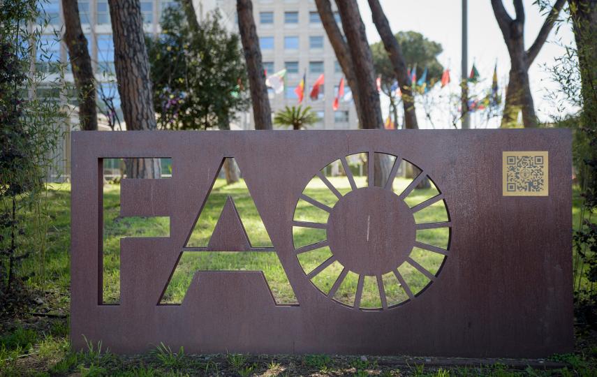  The logo of the FAO (Food and Agriculture Organization of the United Nations) in front of the headquarters in Rome