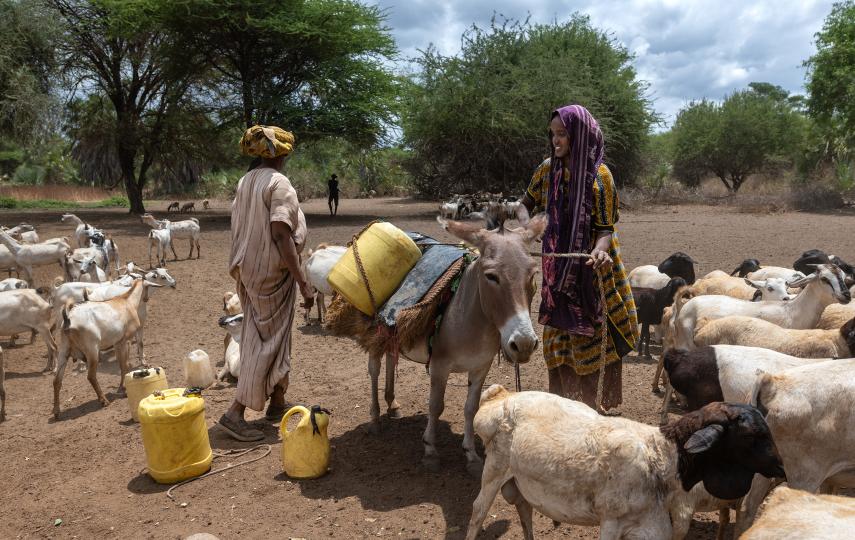 A photo showing two pastoralists in Kenya surrounded by sheep.