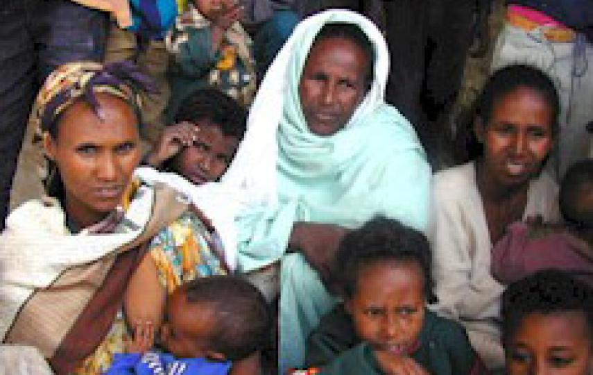 [Eritrea] Eritrea displaced