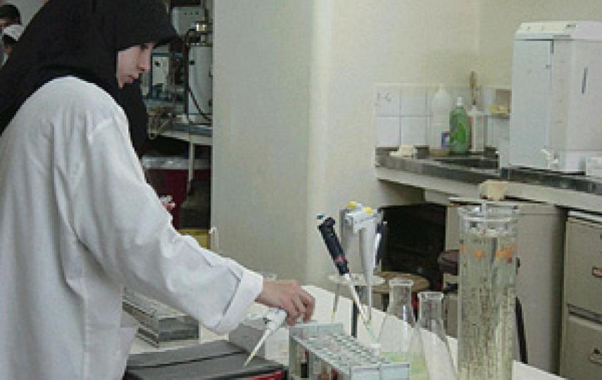 [Iraq] Basra health situation.