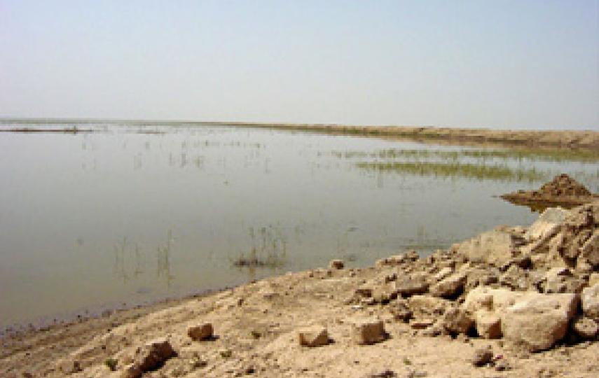 [Iraq] Water is returning to some of the former marshes.