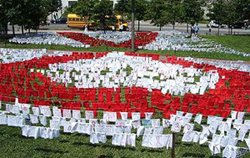 A display of 8,000 flags outside the venue of the 16th International AIDS Conference in Toronto, Canada, 17 August 2006. The flags symbolised the number of people who die from AIDS-related illnesses every day around the world.