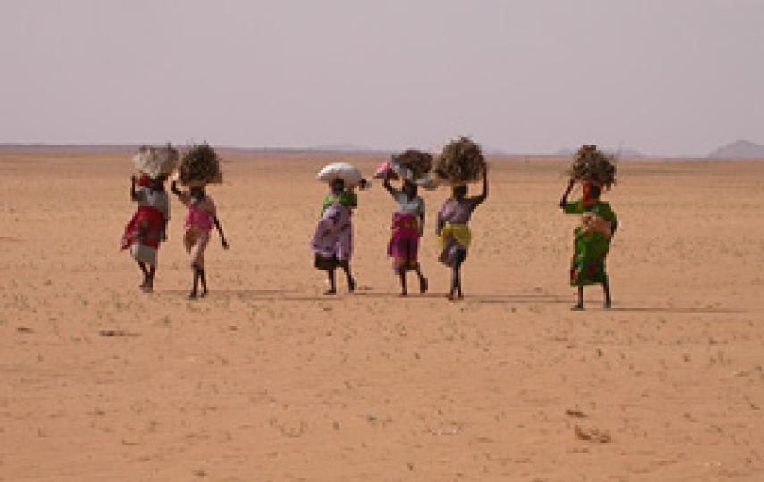 Women returning to an internally displaced persons camp in Darfur after collecting firewood, Sudan, 17 August 2006. Many women in Darfur are illiterate; there are few opportunities for girls’ education in rural villages because they are responsible for 