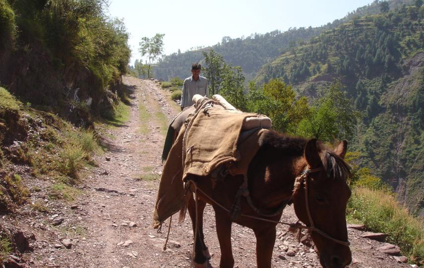 Thanks to the refurbishing of rural roads in quake-affected northern Pakistan, building supplies can now be transported more easily. Rising transport costs have hampered building efforts in the area.