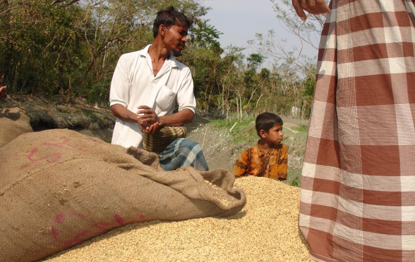 A vender in southern Bangladesh prepares his rice for market. Rice is a staple part of the Bangladesh diet