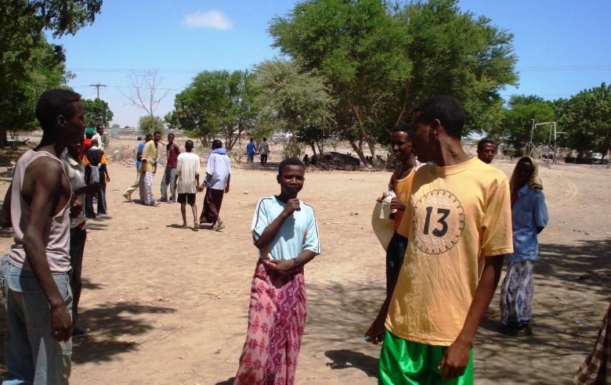 According to a government official, there were about 800,000 African migrants living in Yemen at the end of 2007. Most were Somalis.