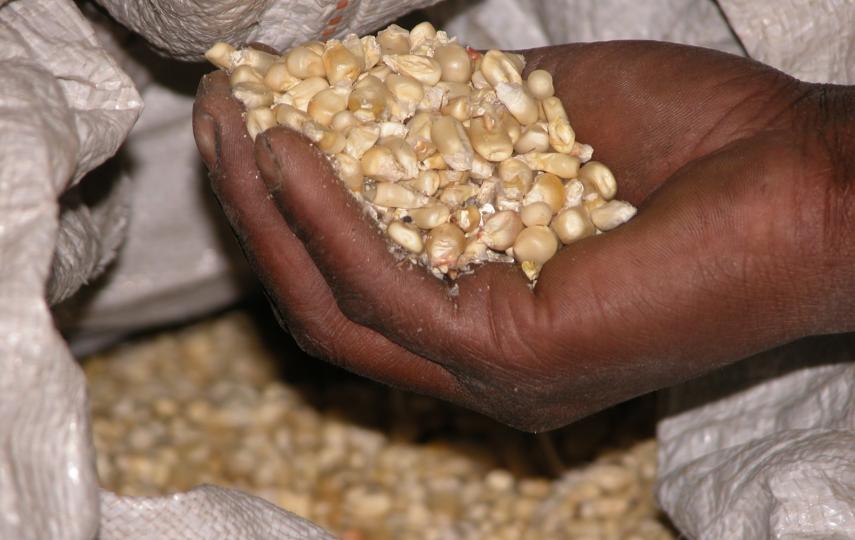People have to borrow cereals such as maize.