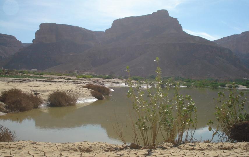 Floods have destroyed thousands of farms in Hadramaut