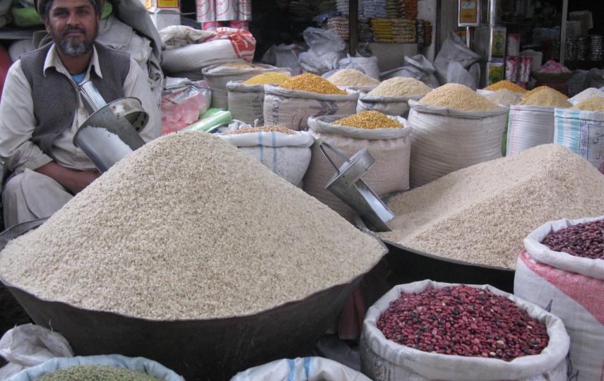 Rice production has increased markedly in the eastern Nangarhar Province, Afghanistan