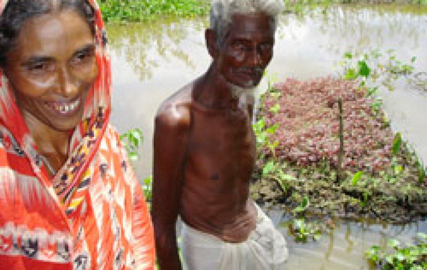 Villagers struggling with waterlogged fields in parts of southern Bangladesh have been growing food on floating islands of paddy straw, water hyacinths and other aquatic plants called bairas