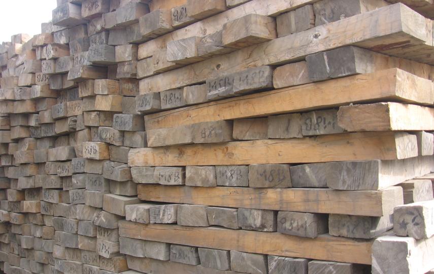 The unlawful export of timber woods has been happening for years despite an interdiction by the government