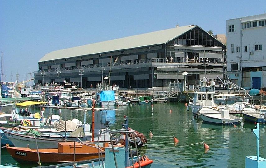 Some fisherman at Jaffa Port have quit because of steep declines in the fish population, while others have changed from trawling and deep water fishing to inshore fishing