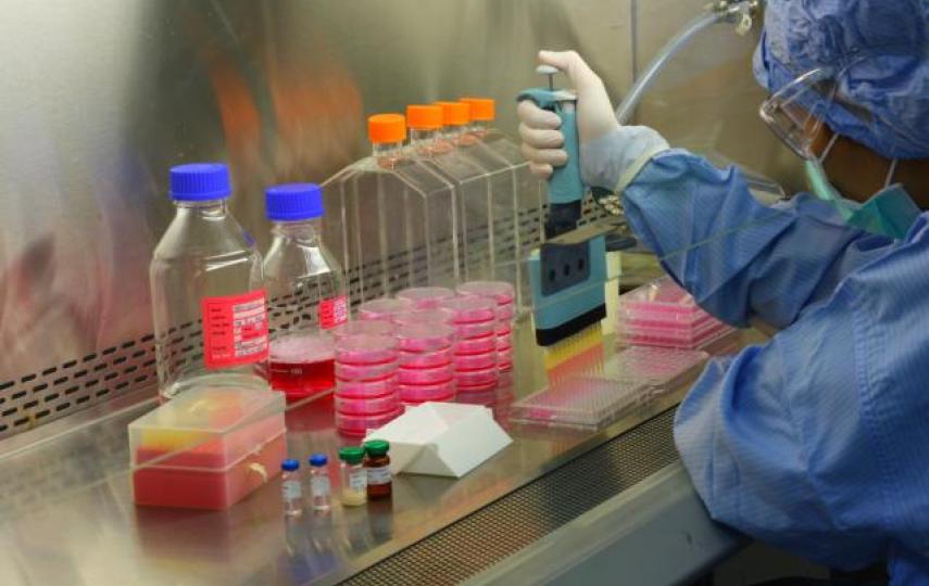 Vaccine quality testing by the Division of Biological Products at the Department of Medical Sciences, Ministry of Public Health, Thailand 