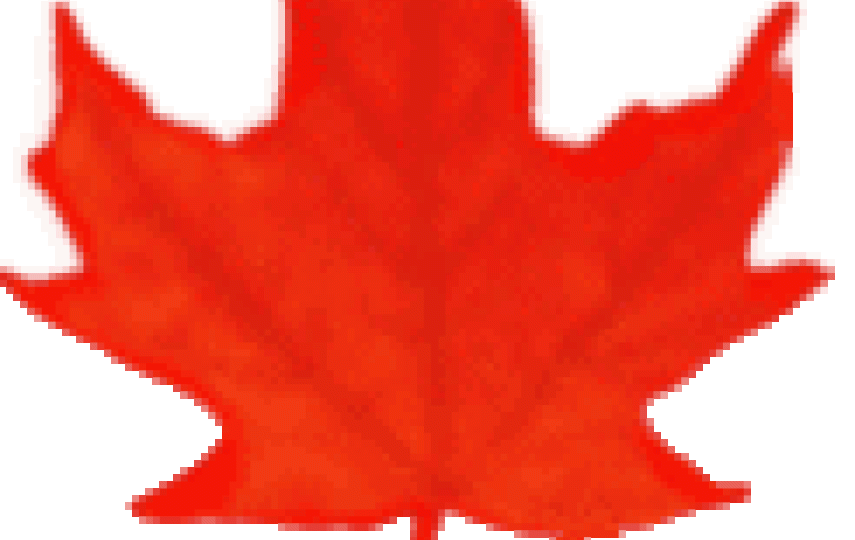 2010 G8 meeting is in Canada