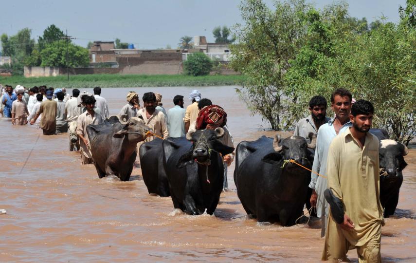 Displaced people fleeing Sindh have streamed into Balochistan