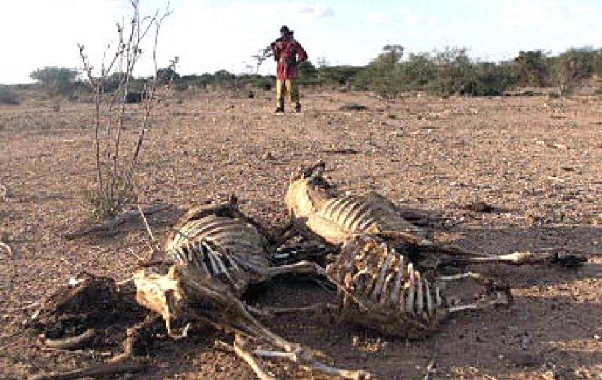 Drought in Somalia. For generic use