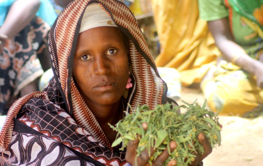 Ayesha Yaou, who organized the women of her village, Dan Gouchy Haoussa in Magaria district in the Zinder region with the leaves that make their meal. Niger March 2011