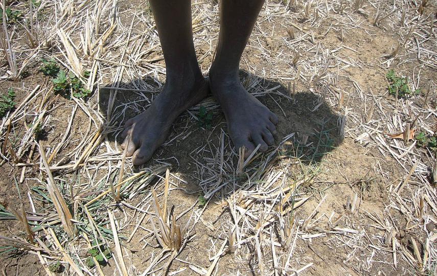 A 10-month-long drought left the Northern and Eastern regions of Sri Lanka parched earlier this year