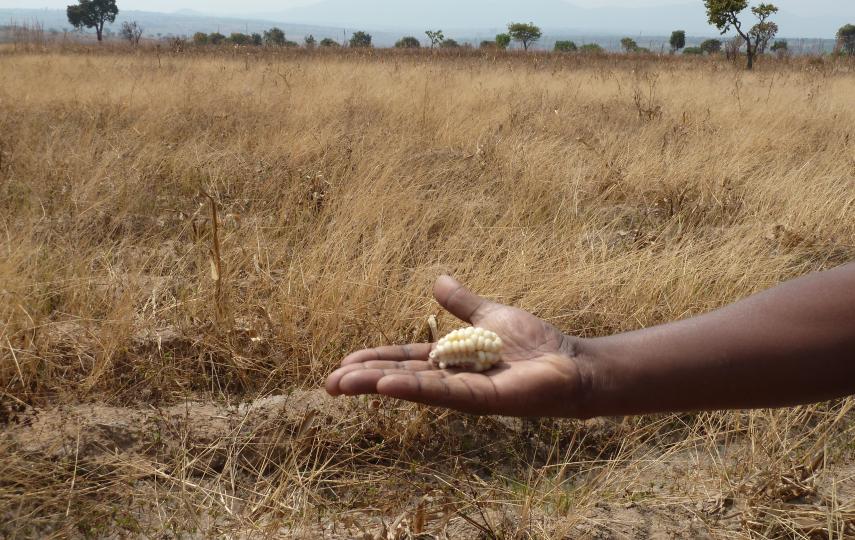 Angola is facing its worst recorded drought in 40 years. It is not alone.
