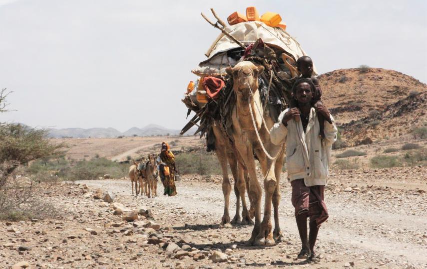Ethiopian pastoralists return from Somalia