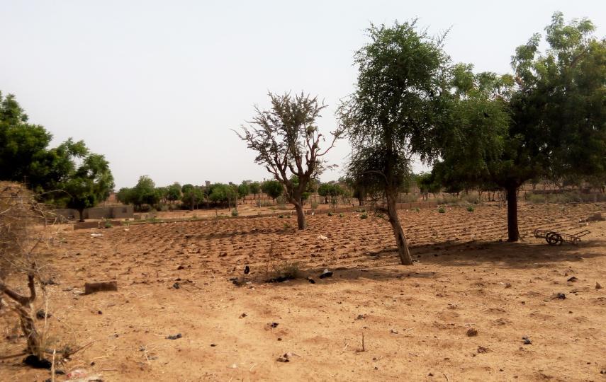 Degraded farmland in Nigeria