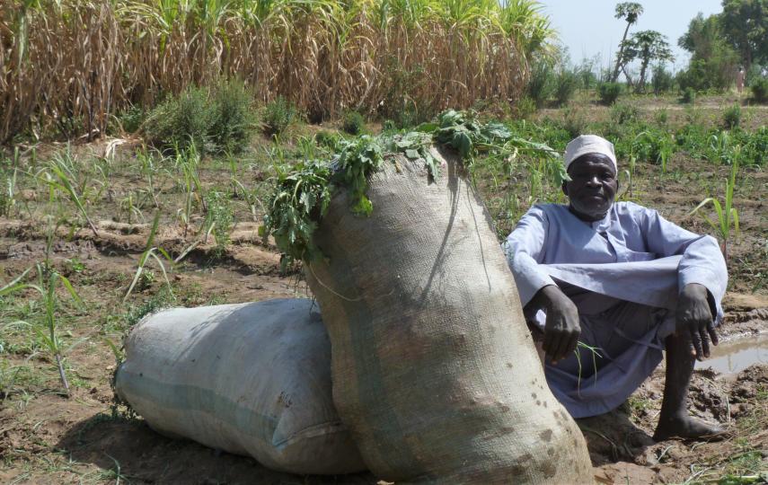 Nigerian farmer