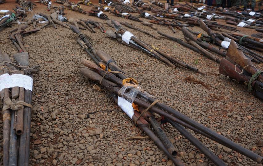 Photo of guns in Cameroon