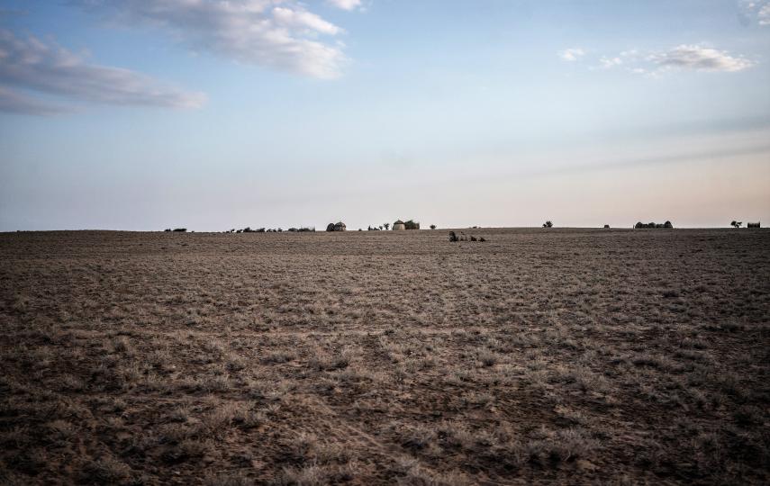 Drought-ravaged rangeland in Turkana County, Kenya