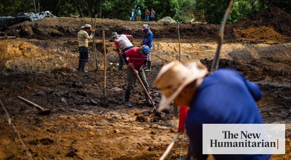 The New Humanitarian | From fighting to farming: Colombia's ex-FARC seek alternatives to war - Vimarsana News