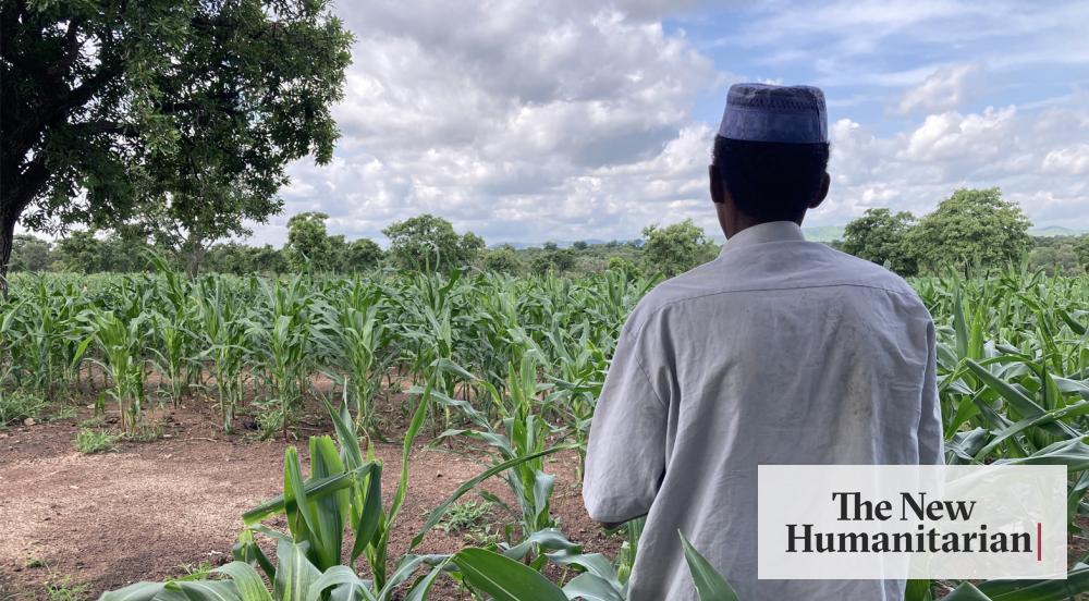 The New Humanitarian | Ghana accused of expelling Fulani asylum seekers from Burkina Faso - Vimarsana News